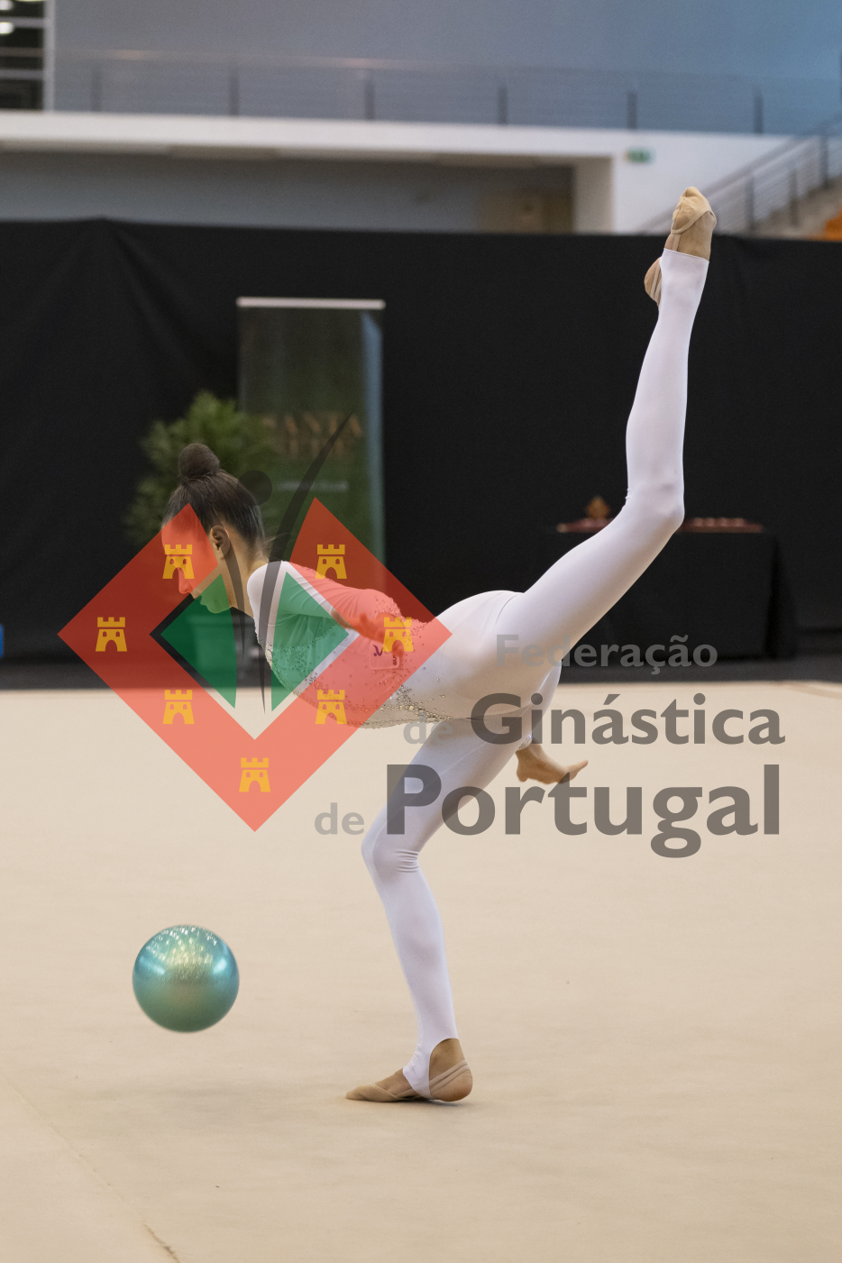 1339_Taca Portugal GR